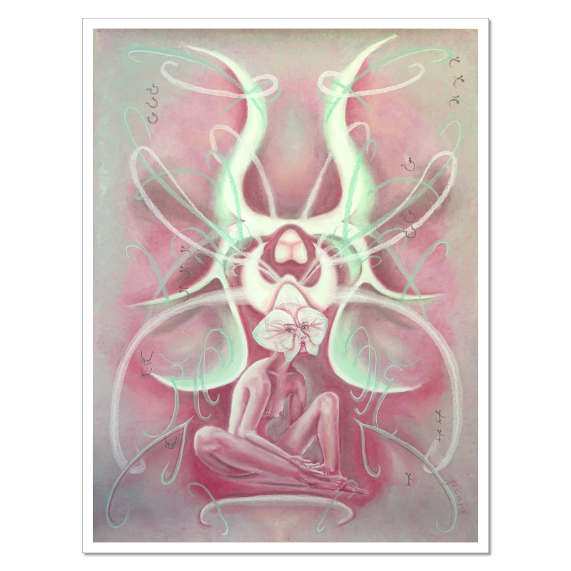 Pistil’s Trigger no. 1 Fine Art Print